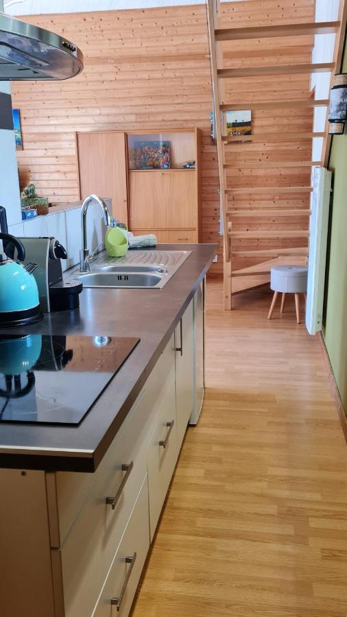 Joli Appartement Avec Jardin La Teste-de-Buch Luaran gambar